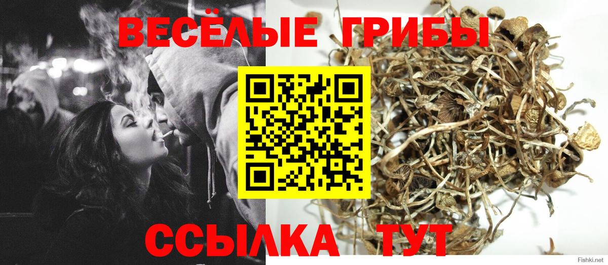 Псилоцибиновые грибы Magic Shrooms Братск