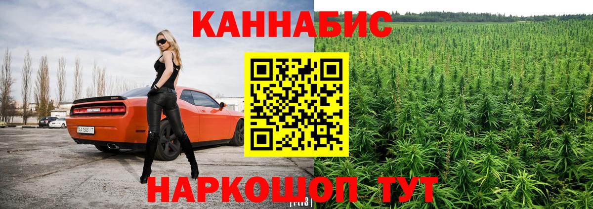 Каннабис план Братск